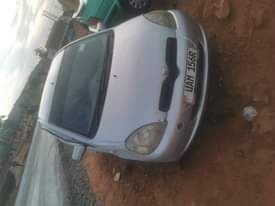 A picture of Vitz