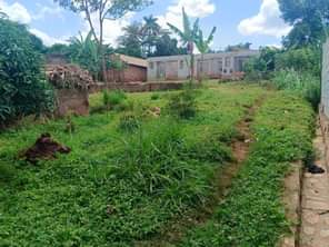 A picture of Good for home and rentals plot for sale in matugga