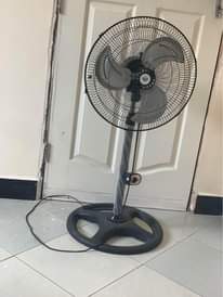 A picture of Feni
