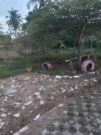 A picture of ENEO LINAUZWA
