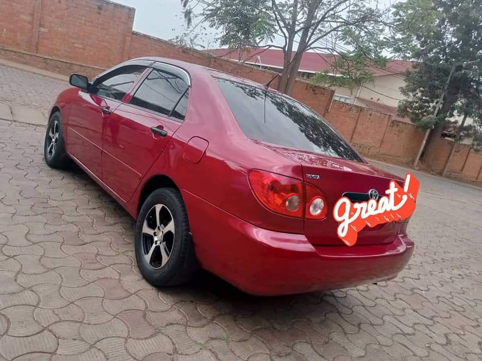 used toyota corolla