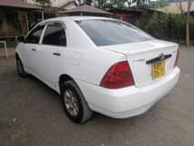 Njuguna J.