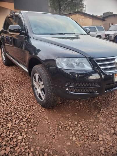 A picture of Touareg