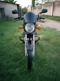 A picture of Boxer