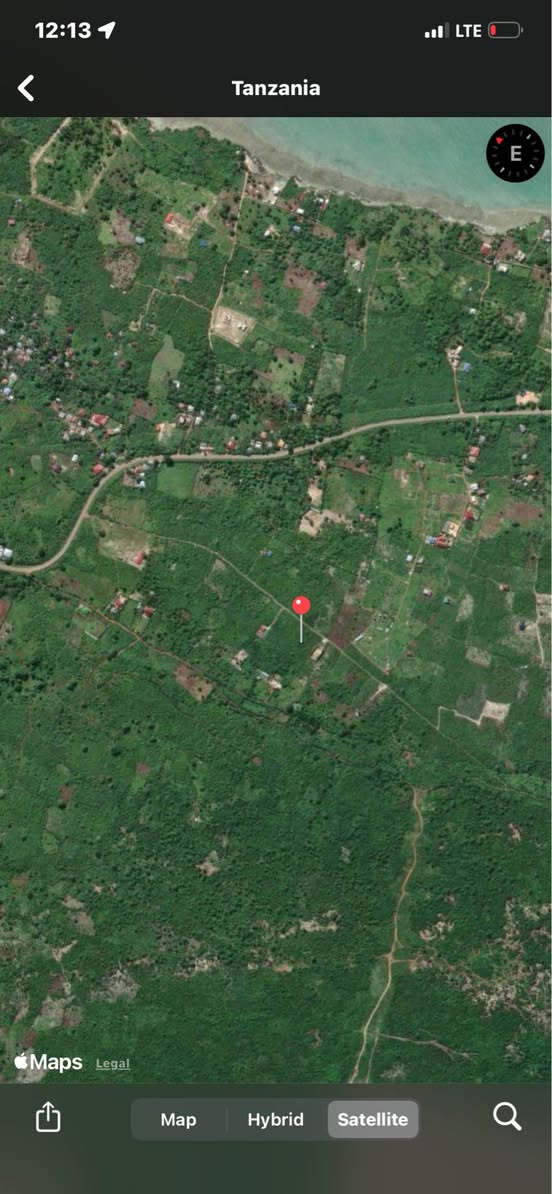 A picture of Plot