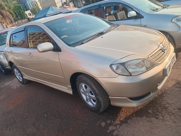 A picture of TOYOTA ALLEX 2005 MODEL