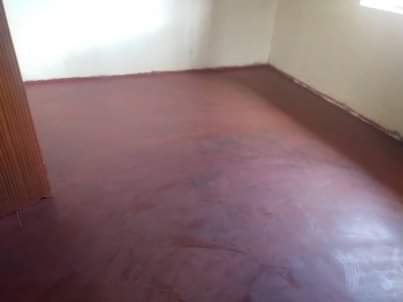 rooms to rent harare