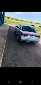 Shortboss C.