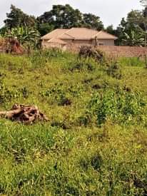 A picture of PRIME PLOTS FOR RESIDENTIAL AND COMMERCIAL USE FOR SALE LOCATED