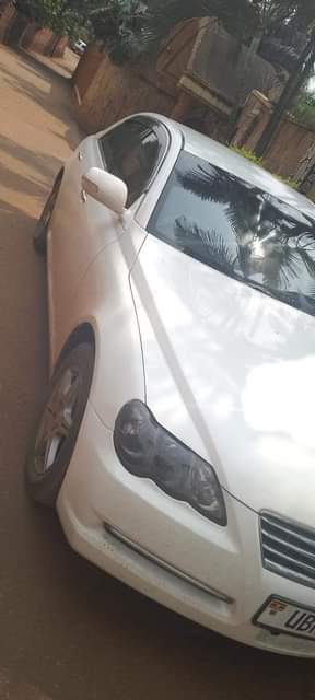 A picture of 19 5m 0742195580
