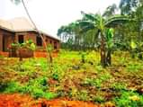 A picture of KAKIRI KIKANDWA ESTATE 50BY100 WITH READY LAND TITLE AT 10M