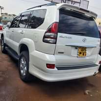 A picture of Prado TX 75m only