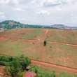 A picture of PLOTS