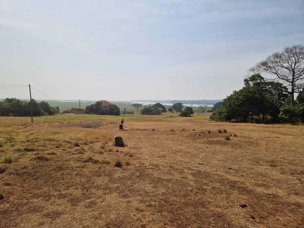 A picture of land