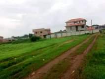 A picture of PLOTS