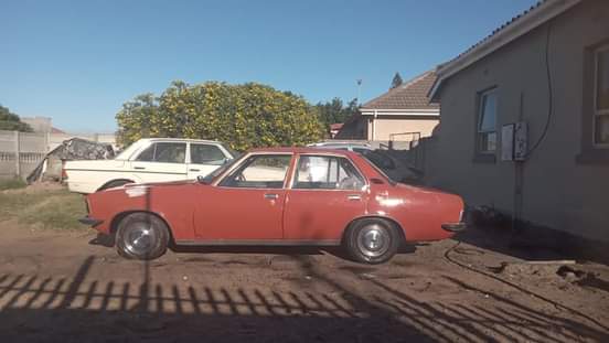 Classic,Muscle A.