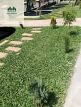 landscaping