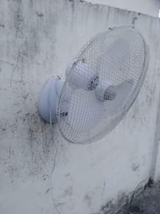 A picture of Feni