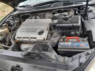 A picture of Registered Lexus es 330 painted on first body 2004 model