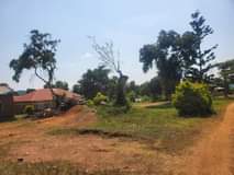 Mwesigwa B.