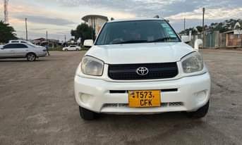 A picture of Rav4