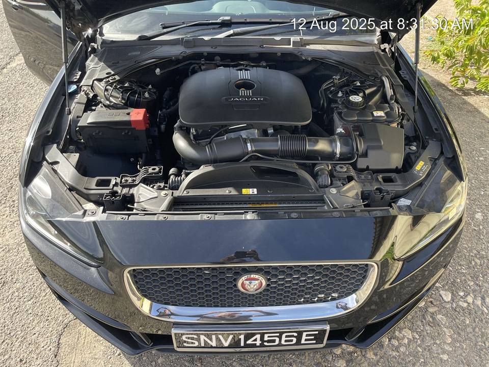 jaguar