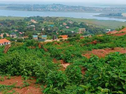 houses entebbe
