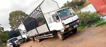 A picture of FUSO FIGHTER