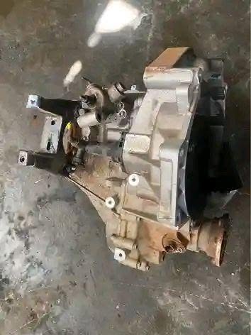 polo vivo
