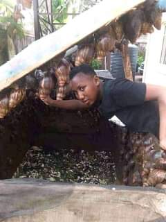 A picture of Snail