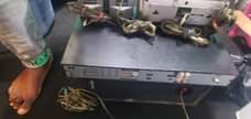 A picture of Homo sound