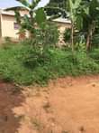 A picture of Plot on quick sale in lukwanga sentema rd 6 5m