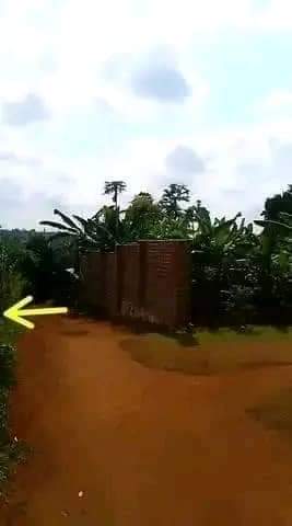 A picture of 50ft X 50ft Affordable Plots available on Sale at MUKONO