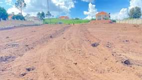 A picture of To get your self a 50 by 100 Ft plot
