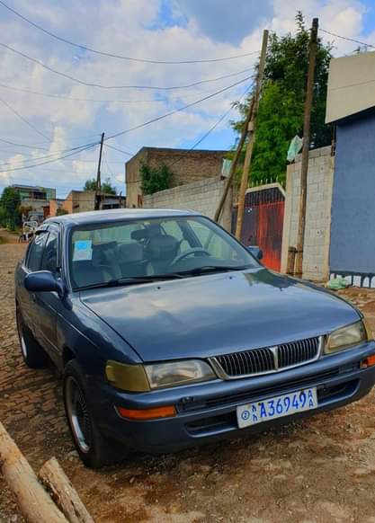 used toyota corolla