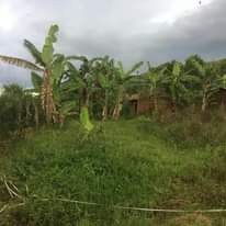 A picture of Land in rurama