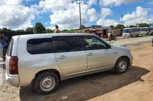 A picture of TOYOTA PROBOX