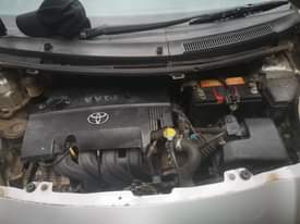 A picture of Vits new model namba C