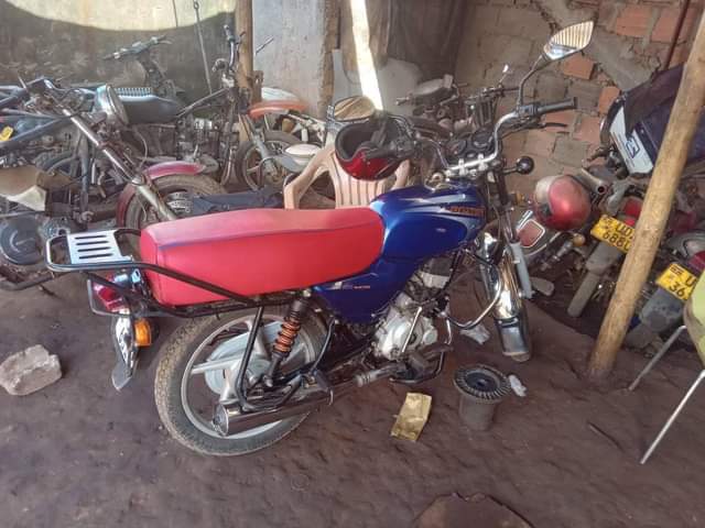 motorbikes