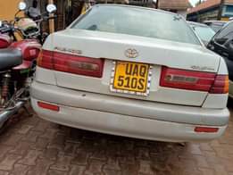 A picture of 0703704731