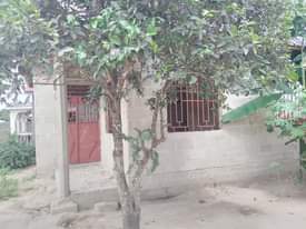 A picture of Nyumba inauzwa mbagala maji matitu