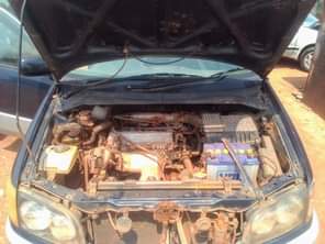 A picture of 7m 0743386797
