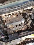 A picture of Corolla