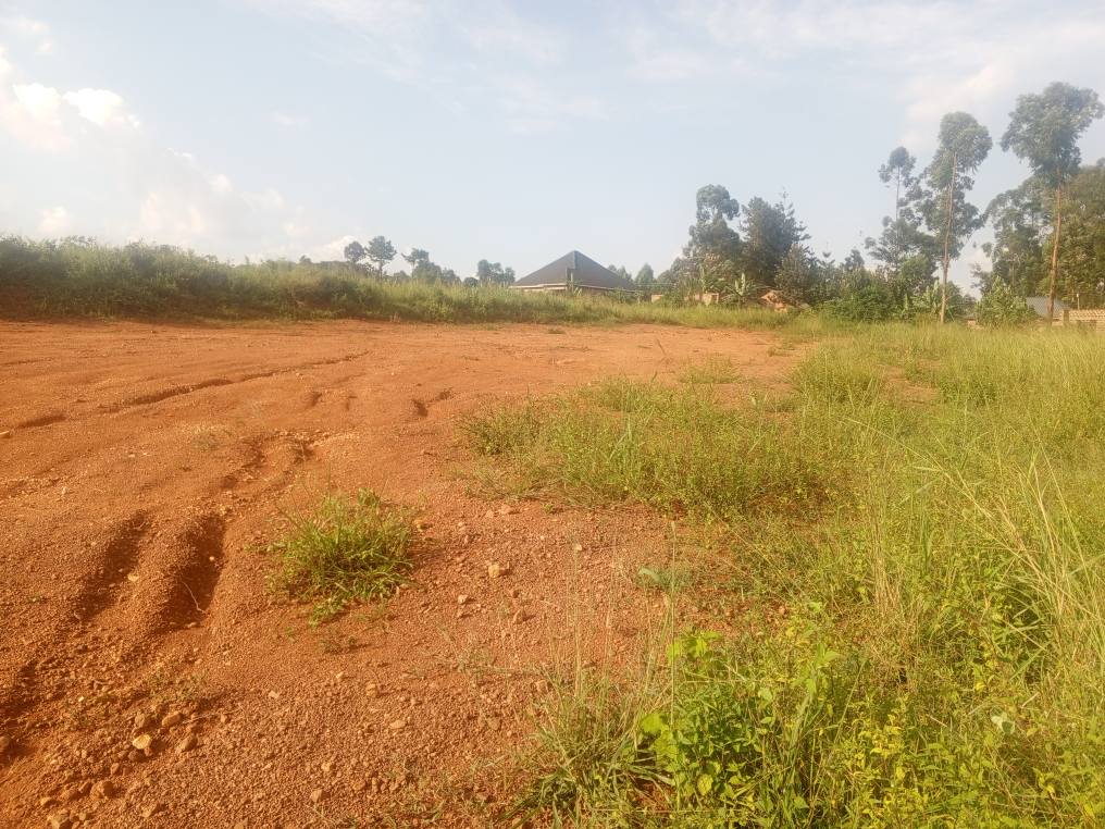 houses matugga
