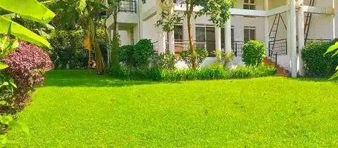 A picture of Town house for rent