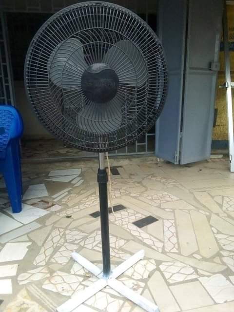 fans