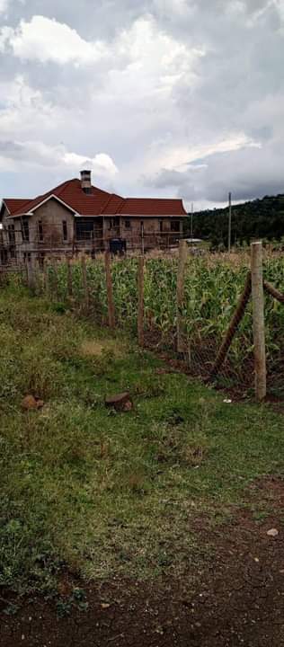 plots kiserian