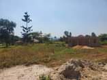A picture of PLOTS WITH READY LAND TITLES ON SALE AT 9M IN