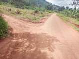 A picture of PLOTS ON SALE In Kakiri along Masuliita road 3 5km