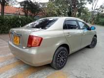 Caroh M.
